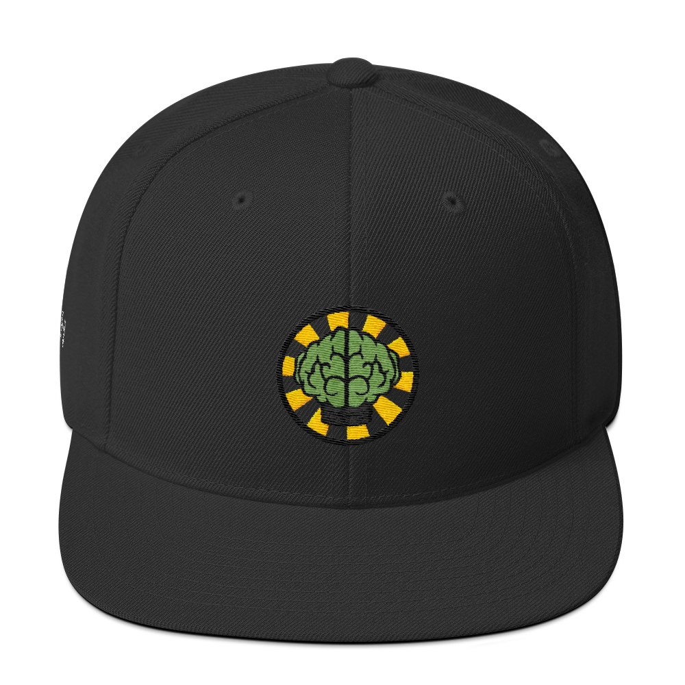 NERD Brain logo embroidery Snapback Cap. Pharrell Williams, Chad Hugo & Shay Haley.-Black-Archethype