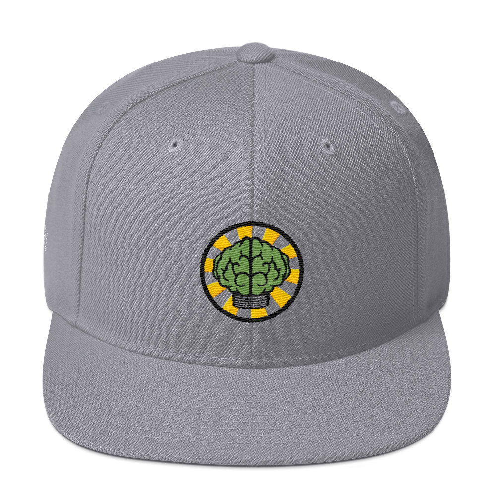 NERD Brain logo embroidery Snapback Cap. Pharrell Williams, Chad Hugo & Shay Haley.-Silver-Archethype