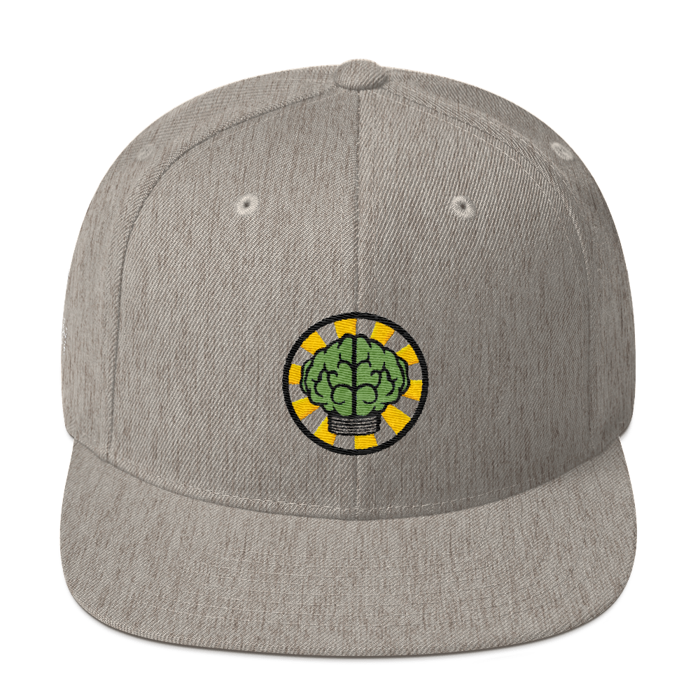 NERD Brain logo embroidery Snapback Cap. Pharrell Williams, Chad Hugo & Shay Haley.-Heather Grey-Archethype